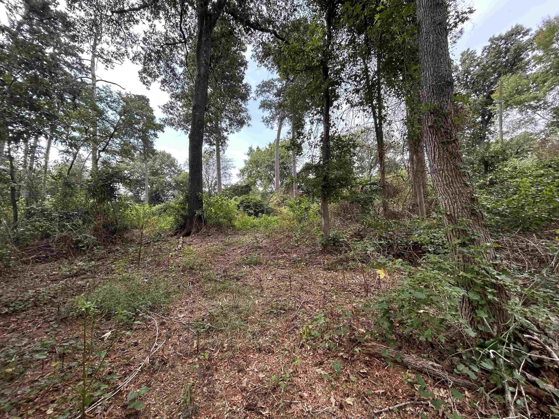0.29 acres in Franklin County - photo 21