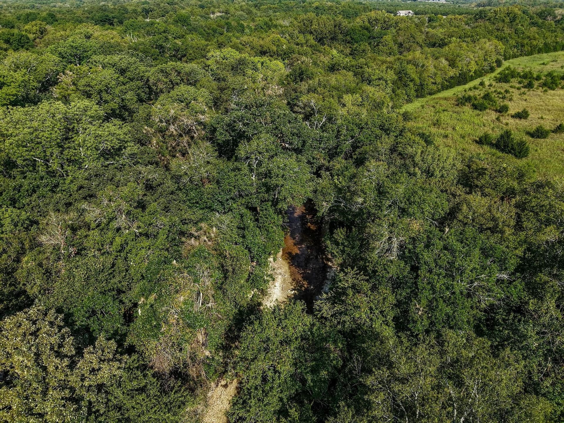58.72 acres in Collin County - photo 14