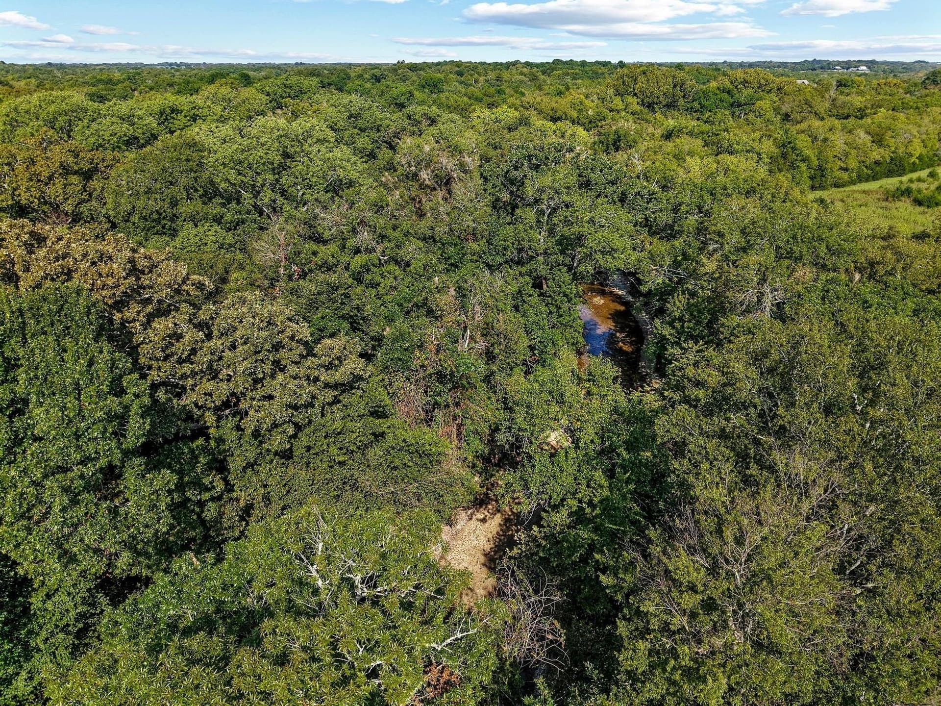 58.72 acres in Collin County - photo 13