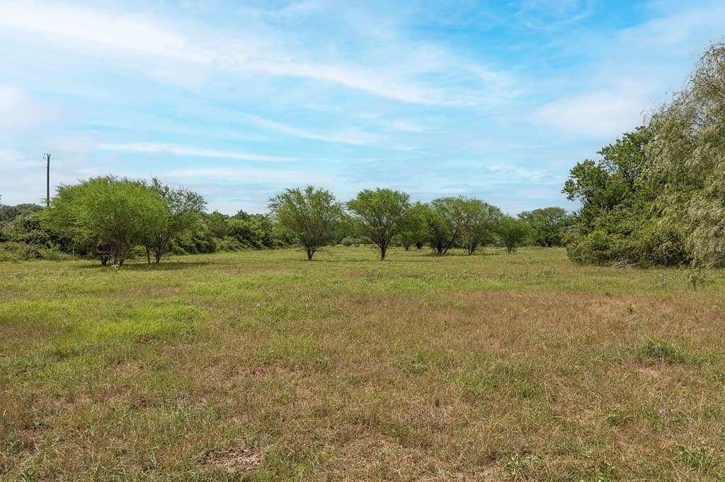 23.02 acres in Lavaca County gallery image 3