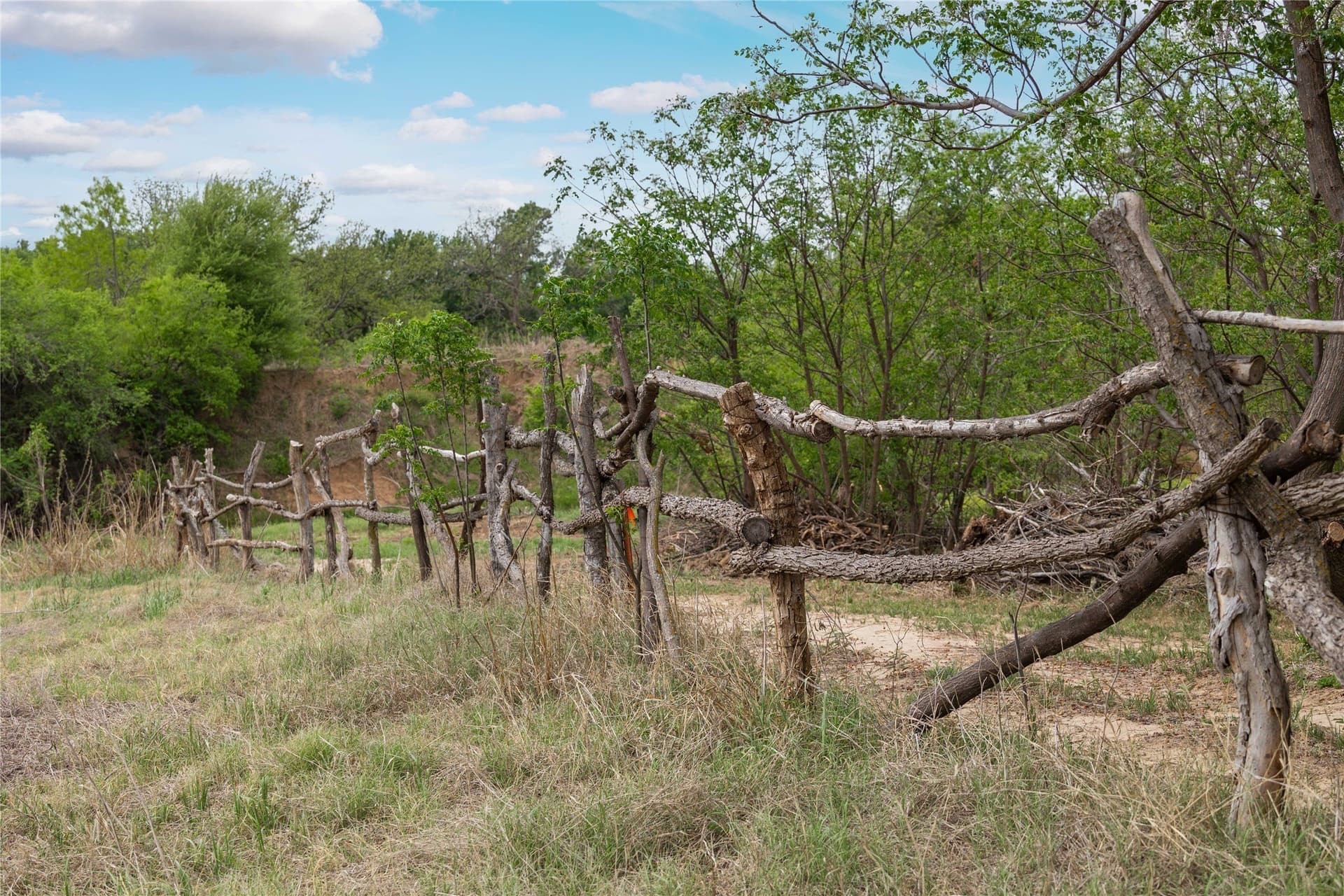 20 acres in Brown County - photo 14