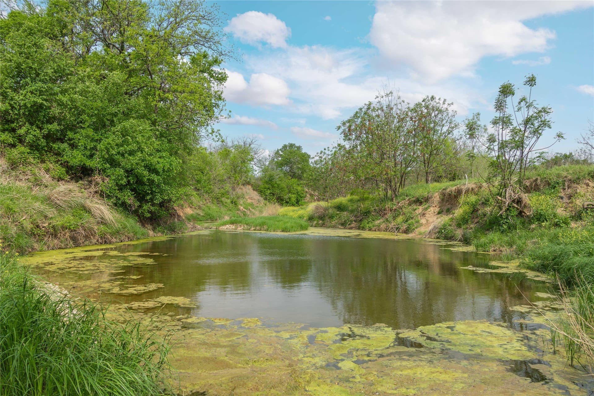 20 acres in Brown County - photo 19