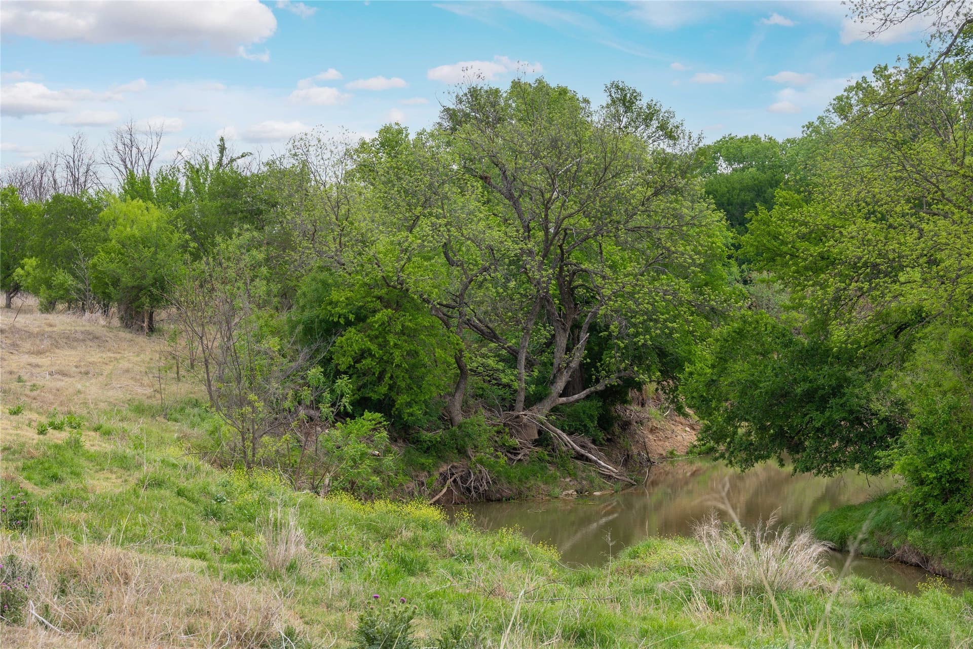 20 acres in Brown County - photo 16