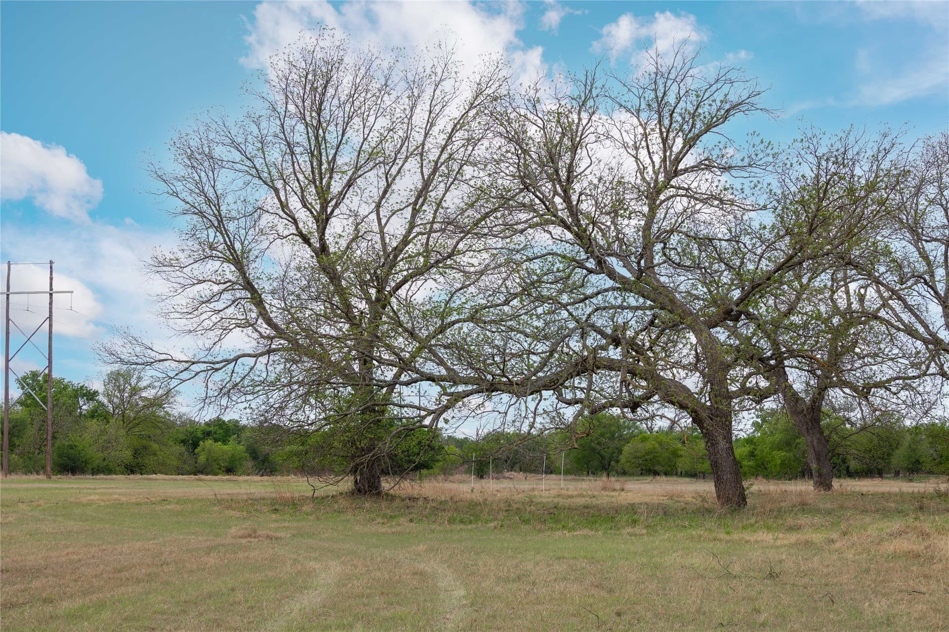 20 acres in Brown County - photo 9