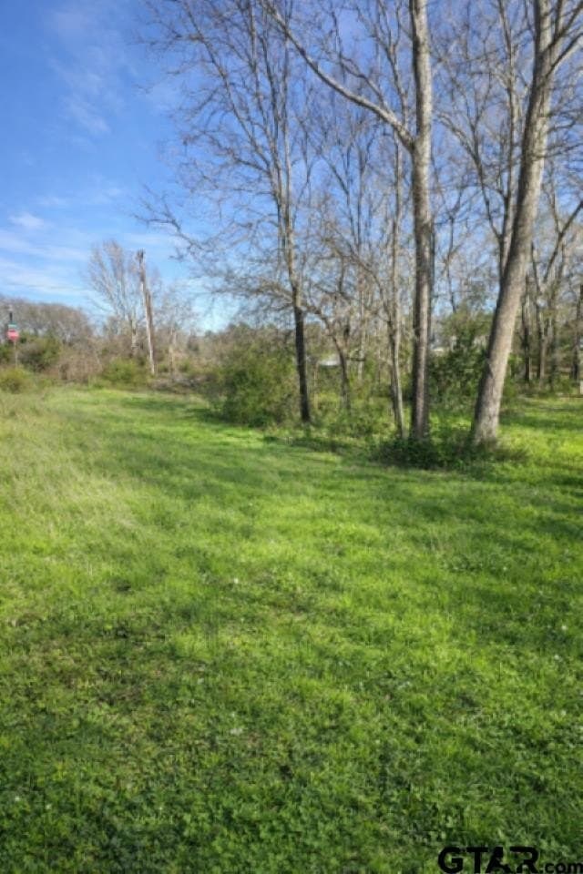 0.32 acres in Smith County gallery image 3