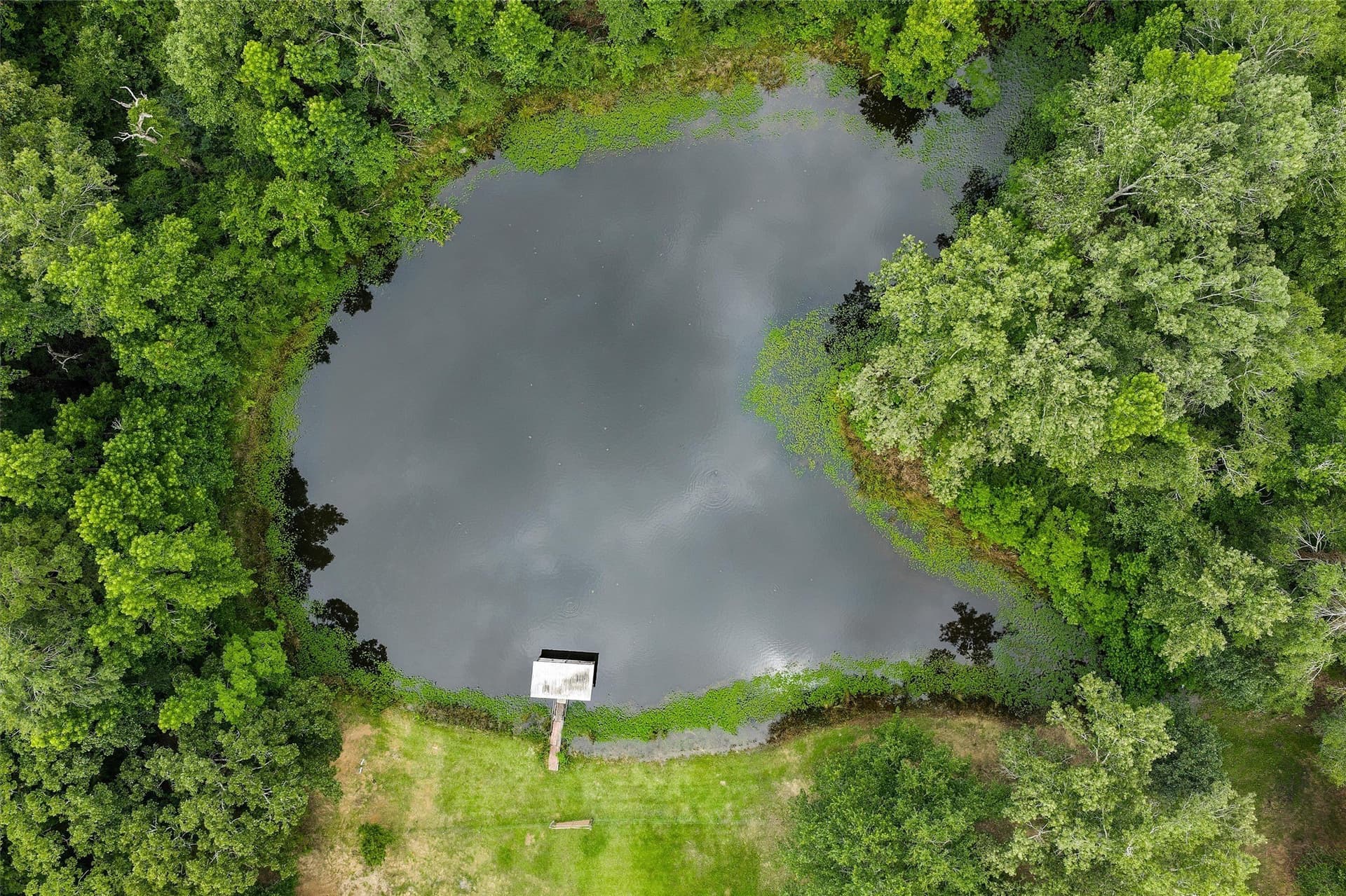 8.05 acres in Shelby County - photo 7