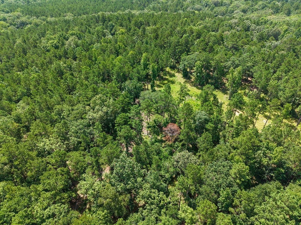 102.78 acres in Texas County gallery image 4