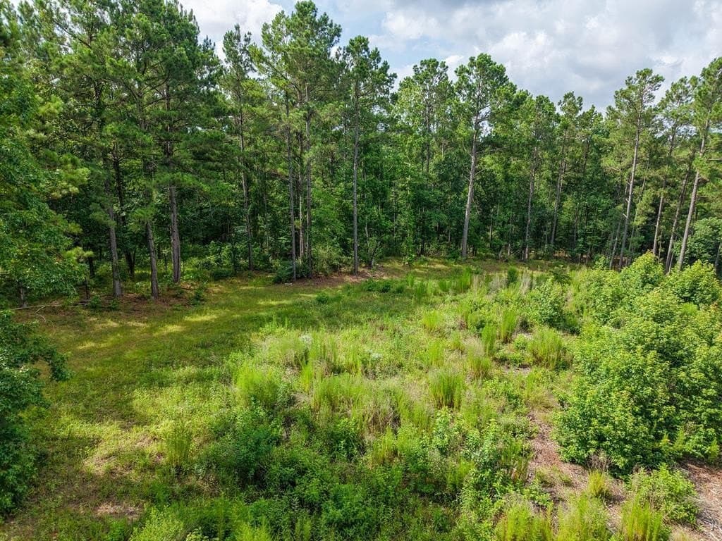 102.78 acres in Texas County gallery image 2