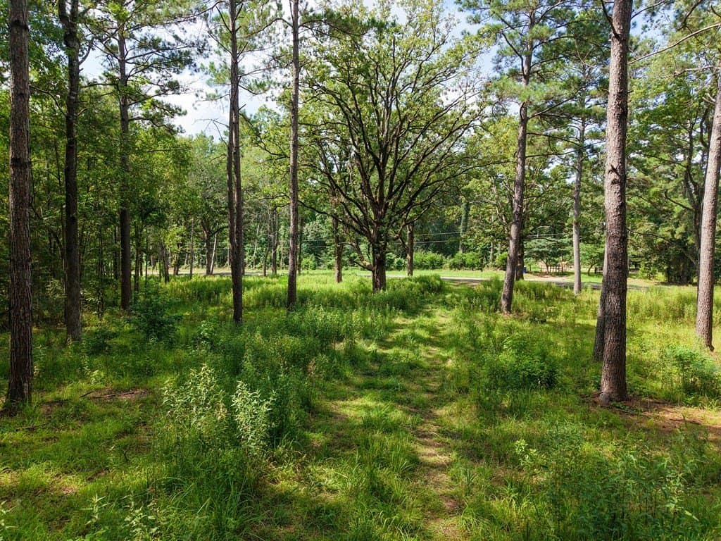 102.78 acres in Texas County gallery image 3