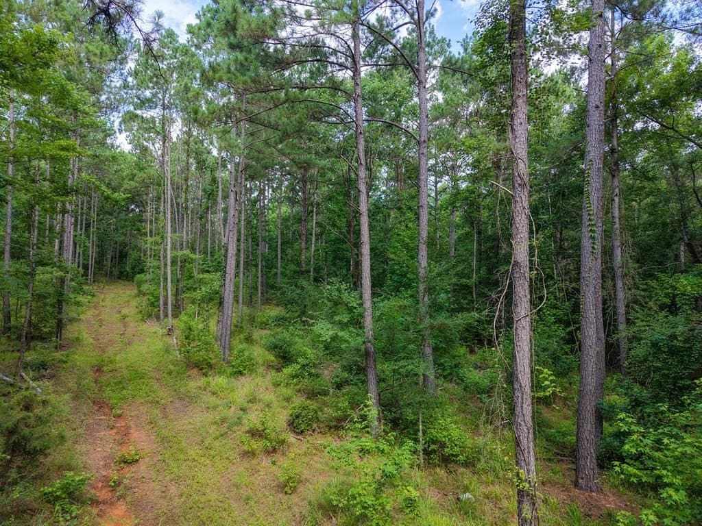 102.78 acres in Texas County featured view