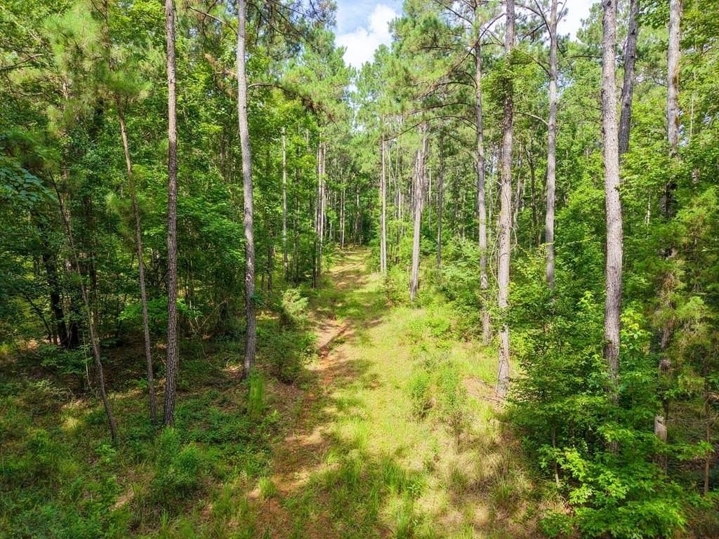 102.78 acres in Texas County