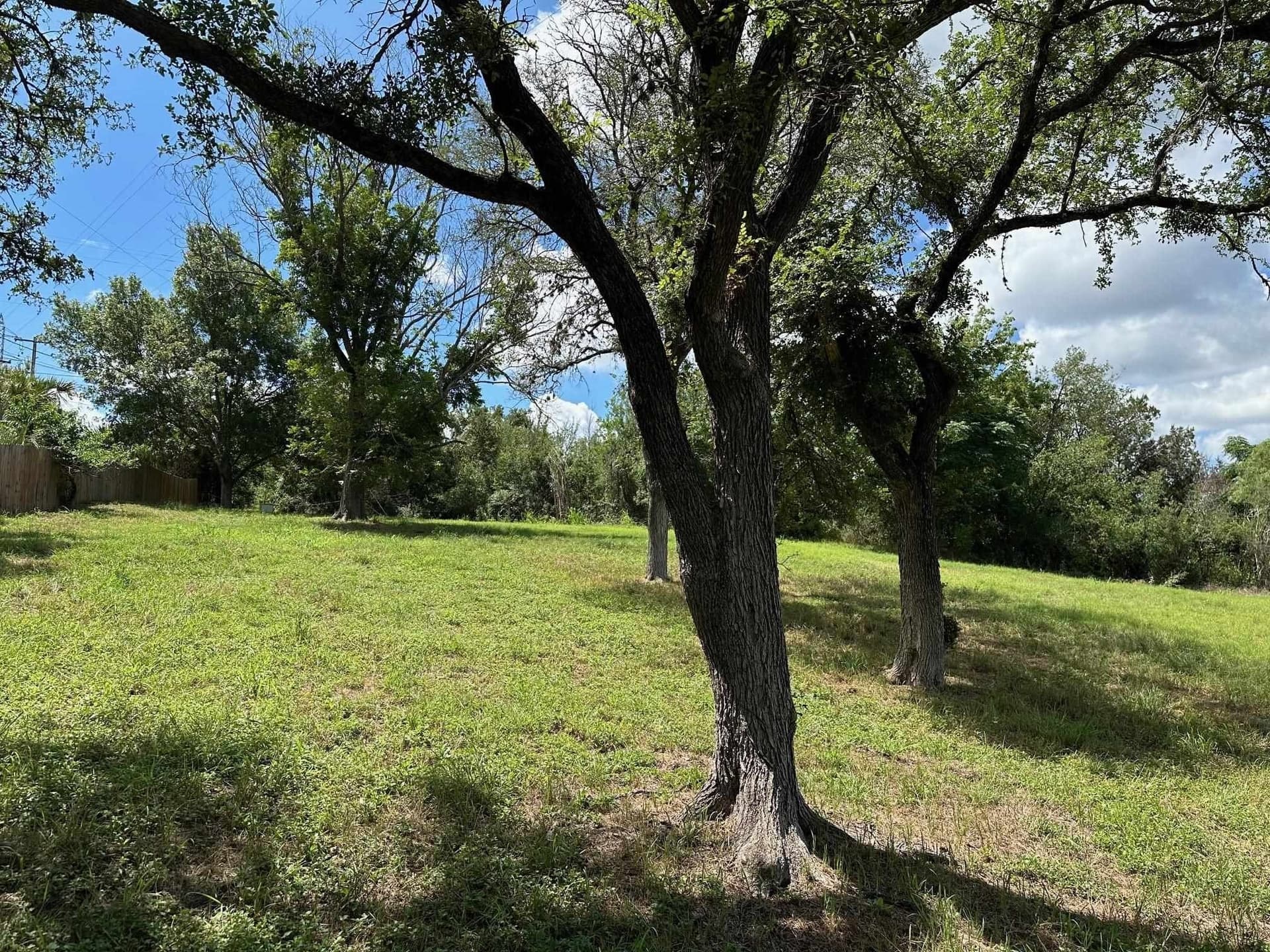 2 acres in Burnet County - photo 7