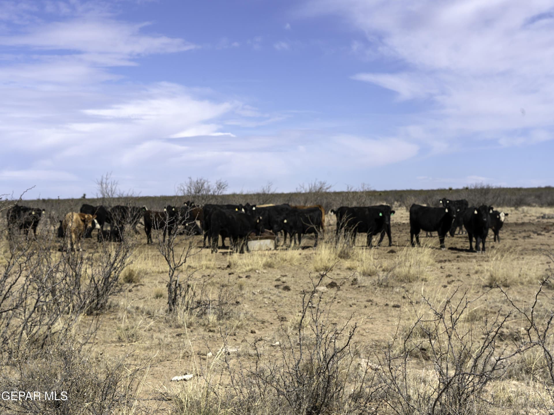 25 acres in Hudspeth County featured view