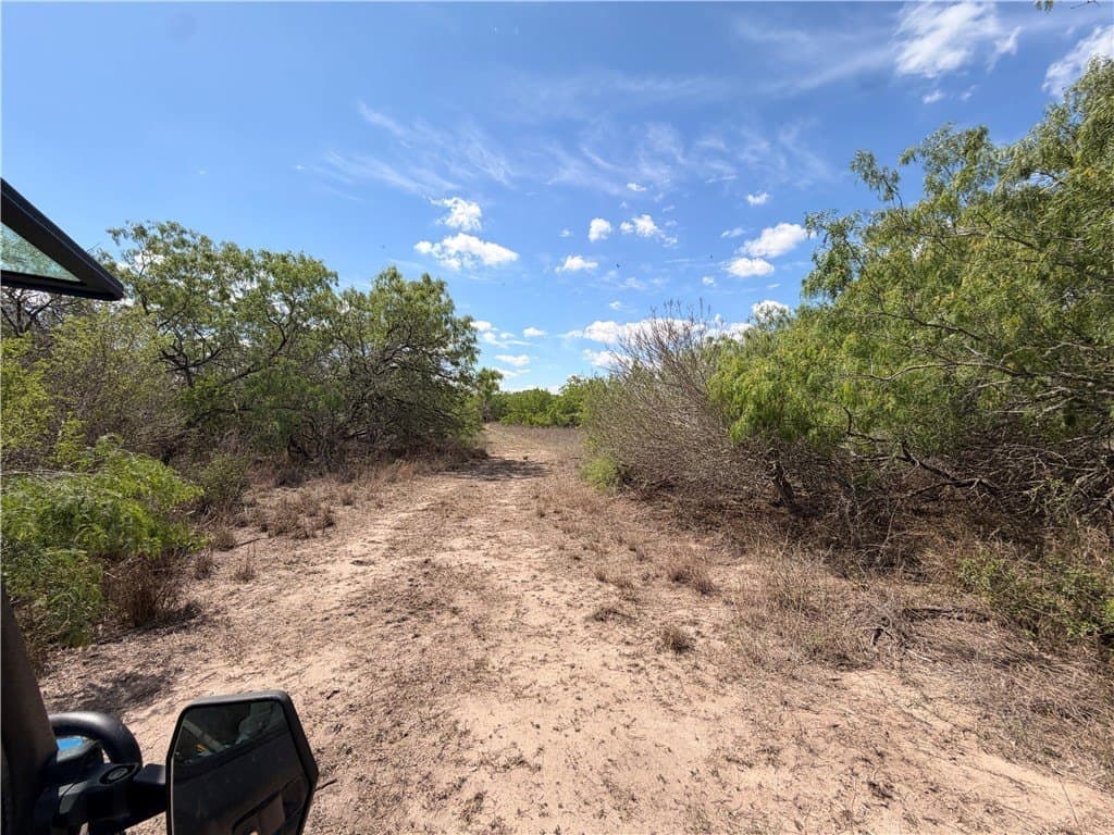 67 acres in Live Oak County - photo 20
