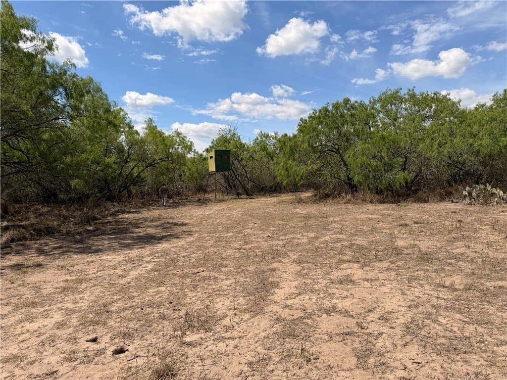 67 acres in Live Oak County - photo 30
