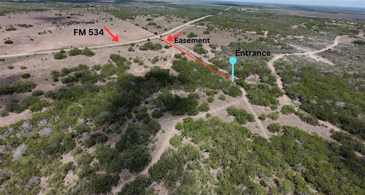 67 acres in Live Oak County gallery image 2