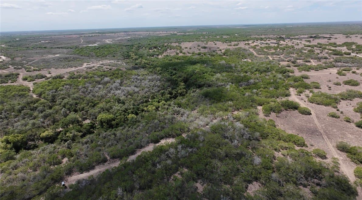 67 acres in Live Oak County - photo 6