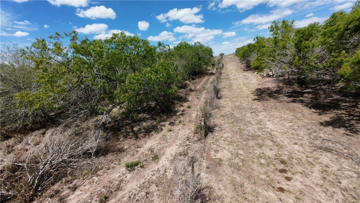 67 acres in Live Oak County - photo 17