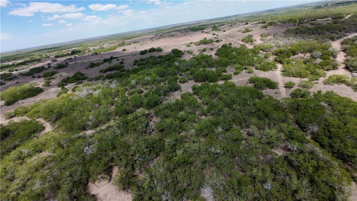 67 acres in Live Oak County - photo 11