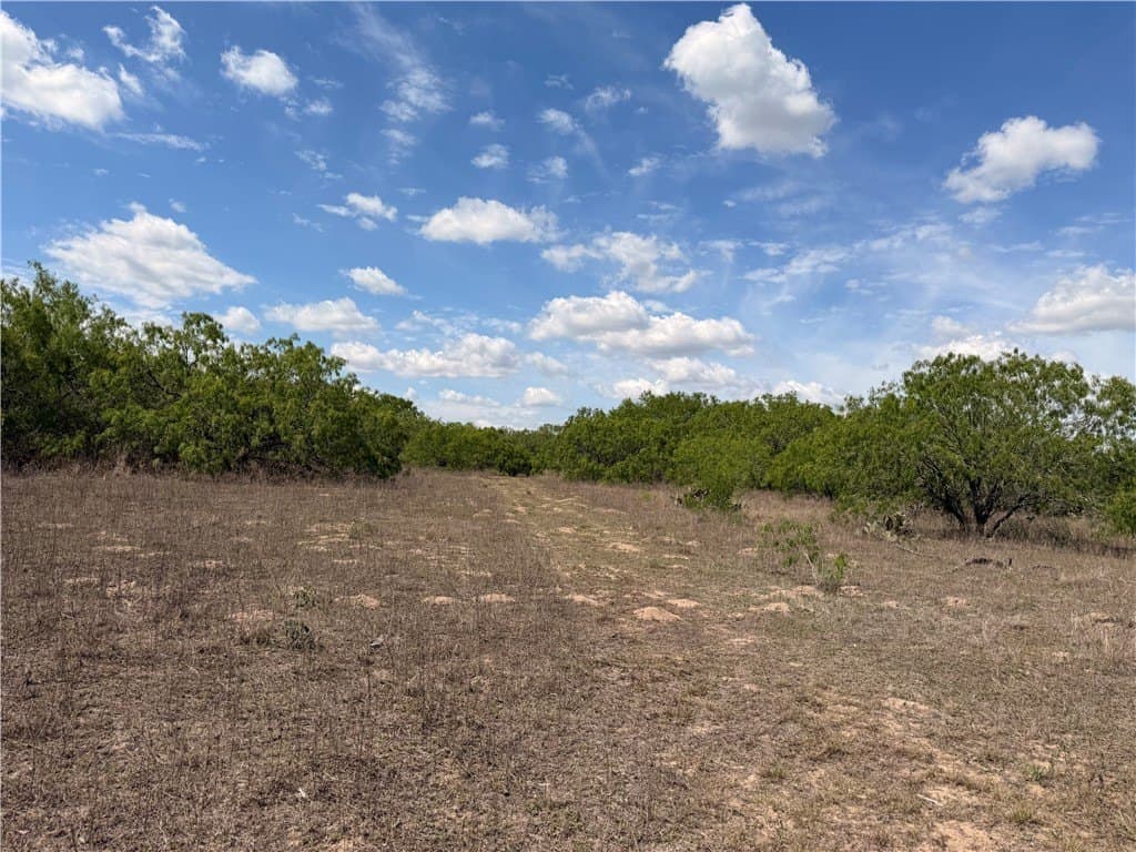 67 acres in Live Oak County - photo 24