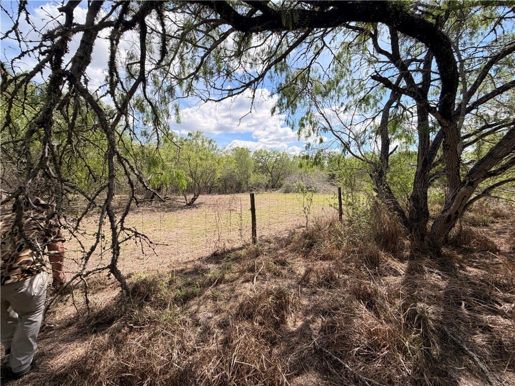67 acres in Live Oak County - photo 22