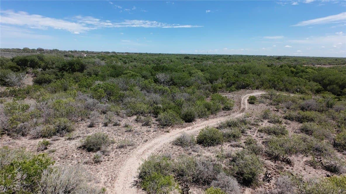 67 acres in Live Oak County - photo 8