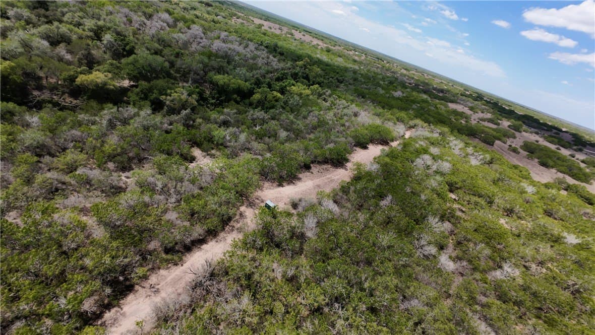 67 acres in Live Oak County - photo 14