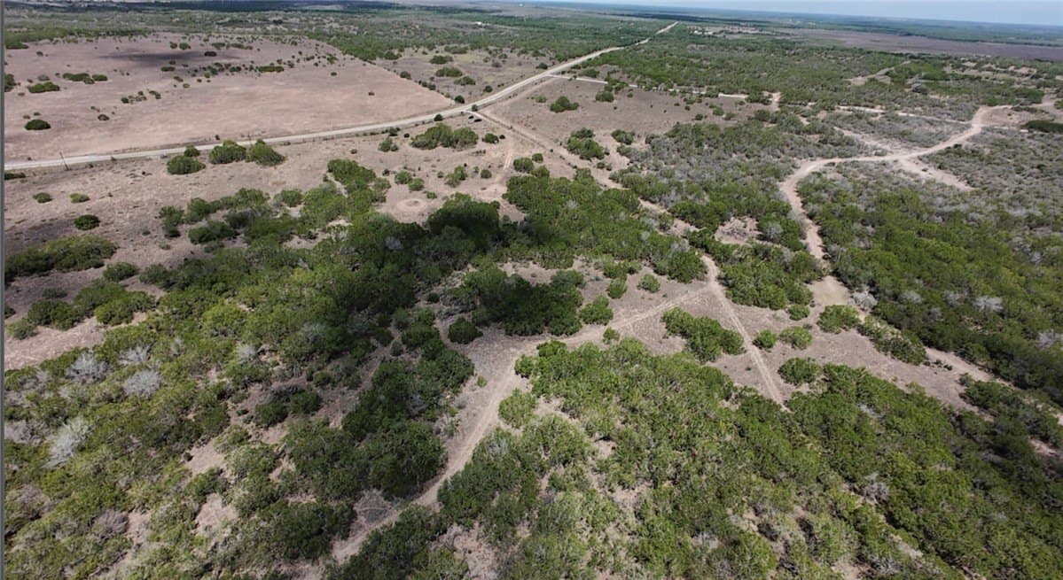 67 acres in Live Oak County gallery image 3