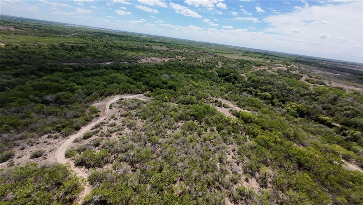 67 acres in Live Oak County - photo 12