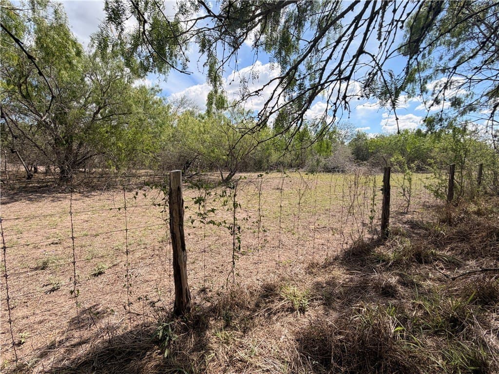 67 acres in Live Oak County - photo 23