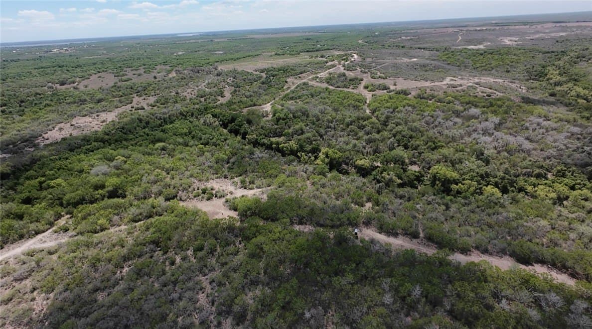 67 acres in Live Oak County featured view