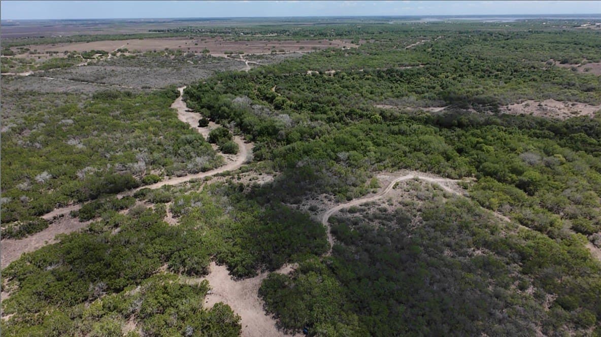 67 acres in Live Oak County gallery image 4