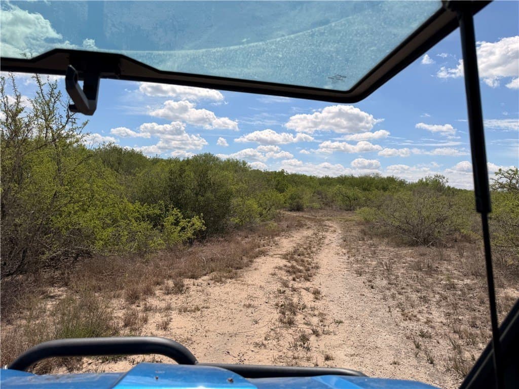 67 acres in Live Oak County - photo 36