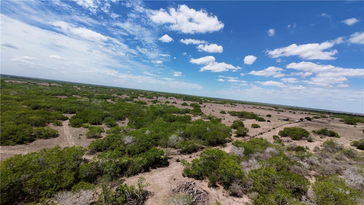 67 acres in Live Oak County - photo 16