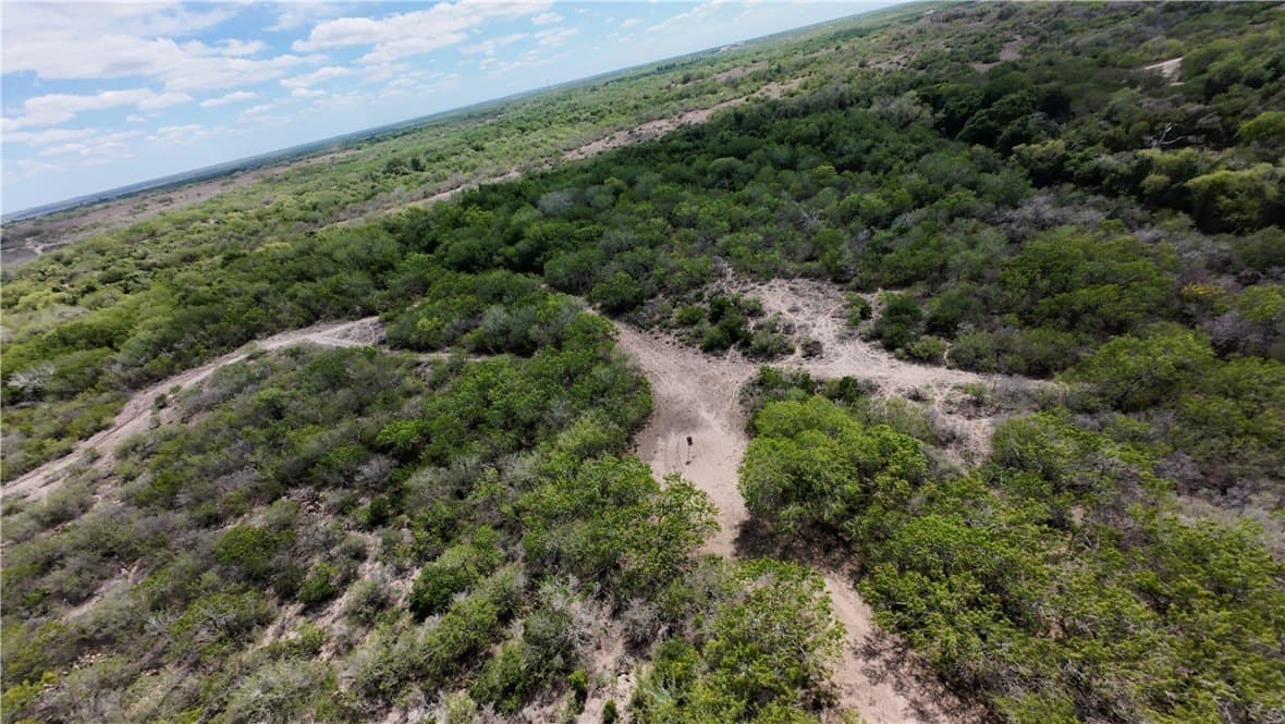 67 acres in Live Oak County - photo 13