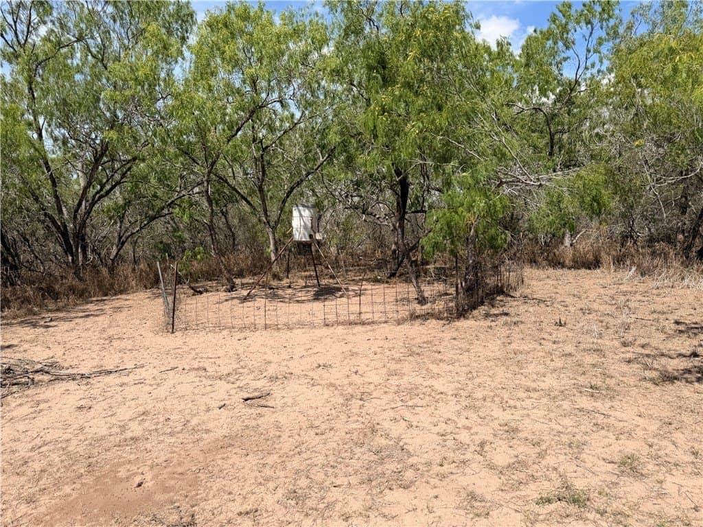 67 acres in Live Oak County - photo 31