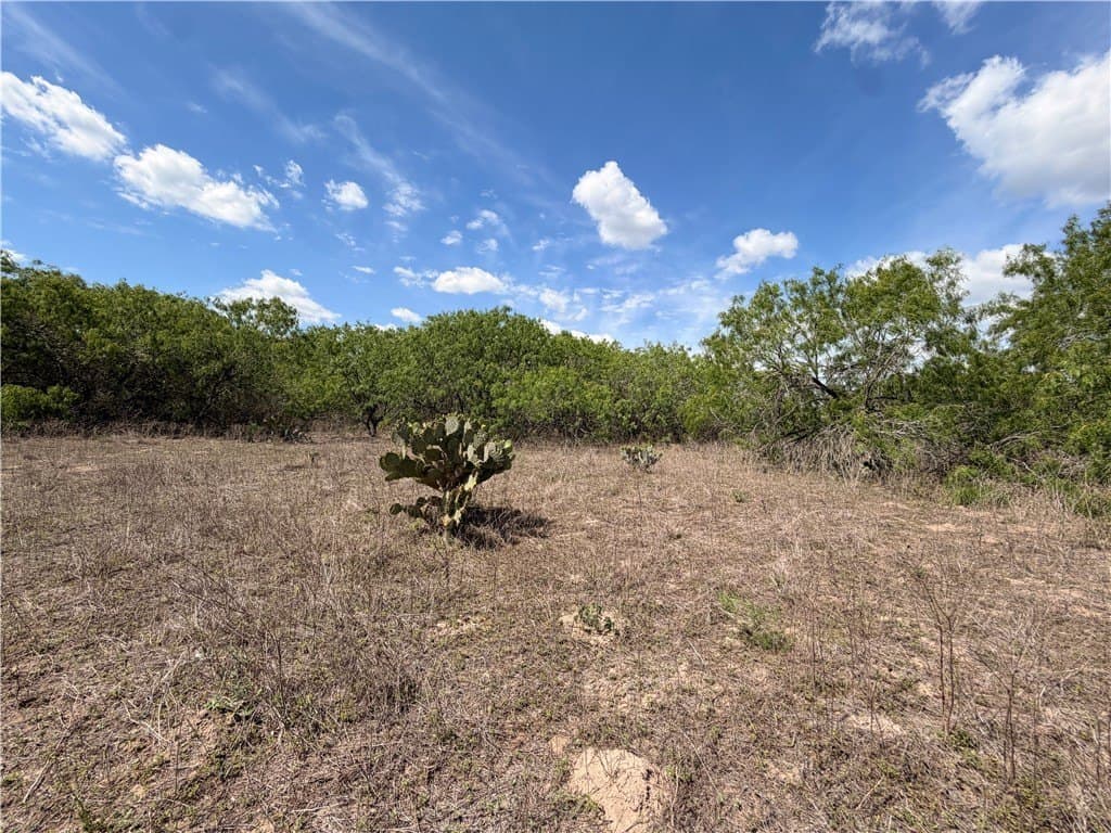 67 acres in Live Oak County - photo 26