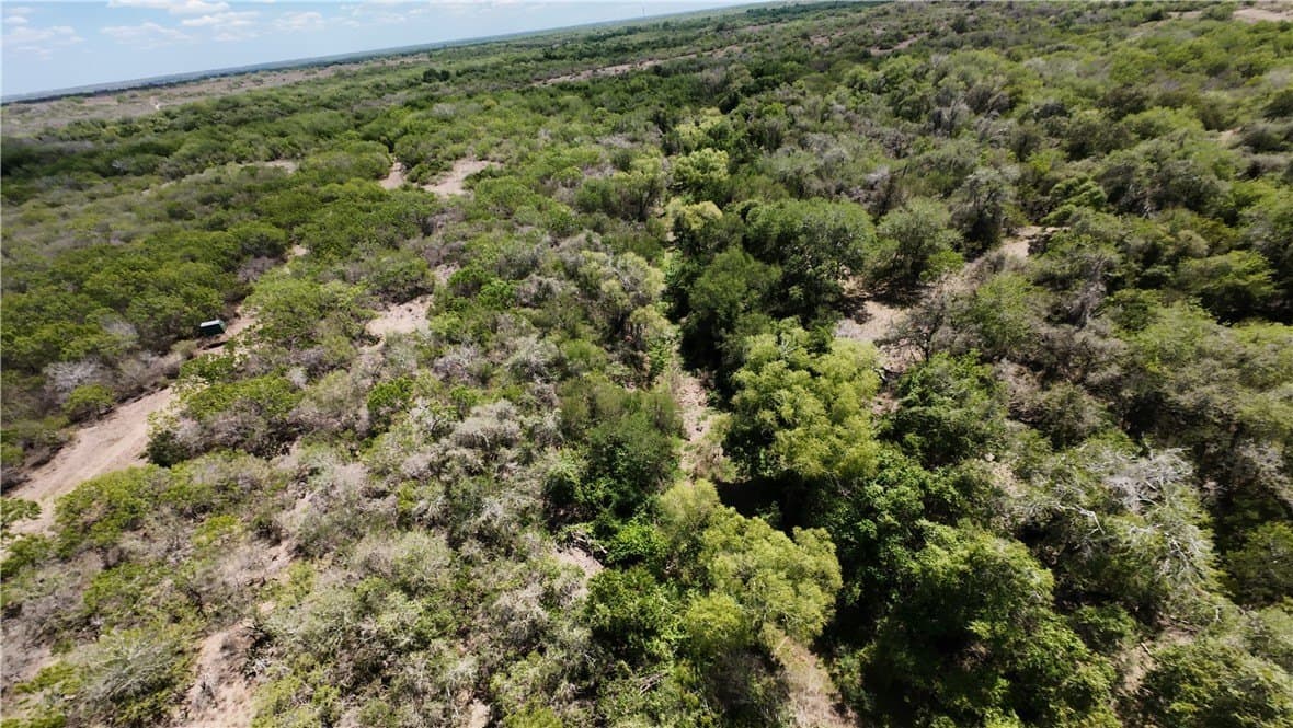 67 acres in Live Oak County - photo 15