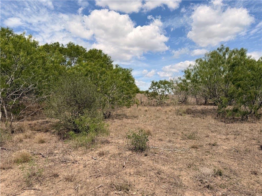 67 acres in Live Oak County - photo 37