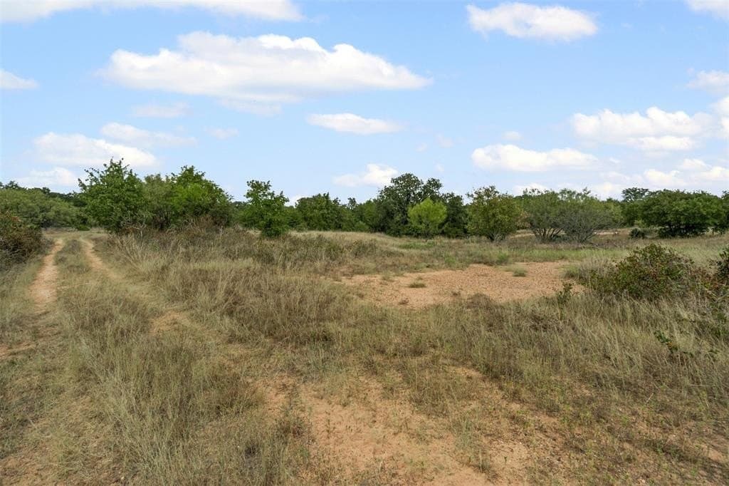 81.27 acres in Comanche County gallery image 4