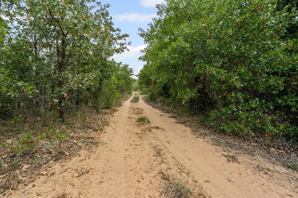 81.27 acres in Comanche County gallery image 2