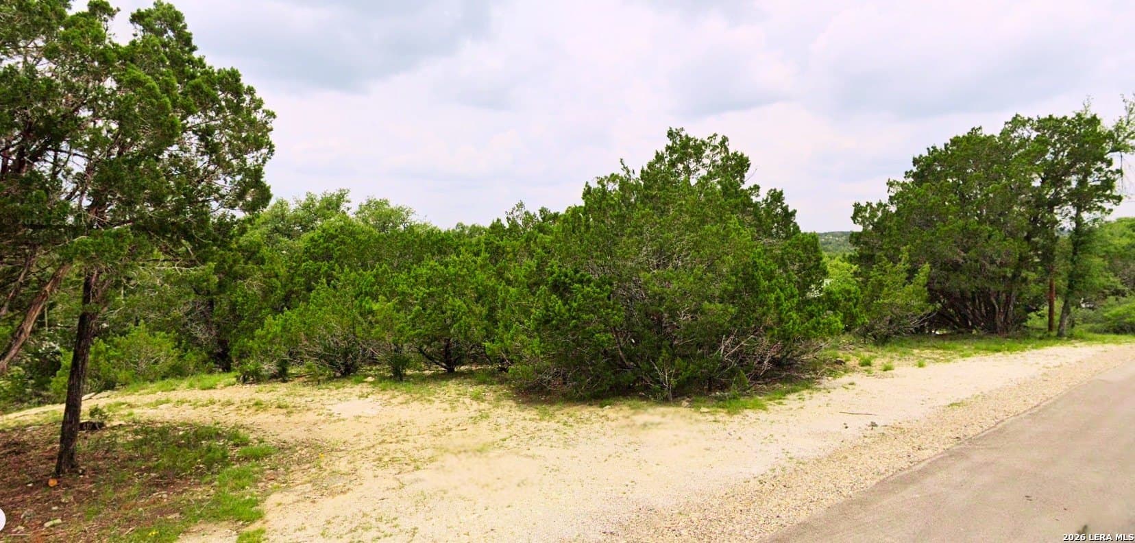 0.25 acres in Comal County gallery image 2