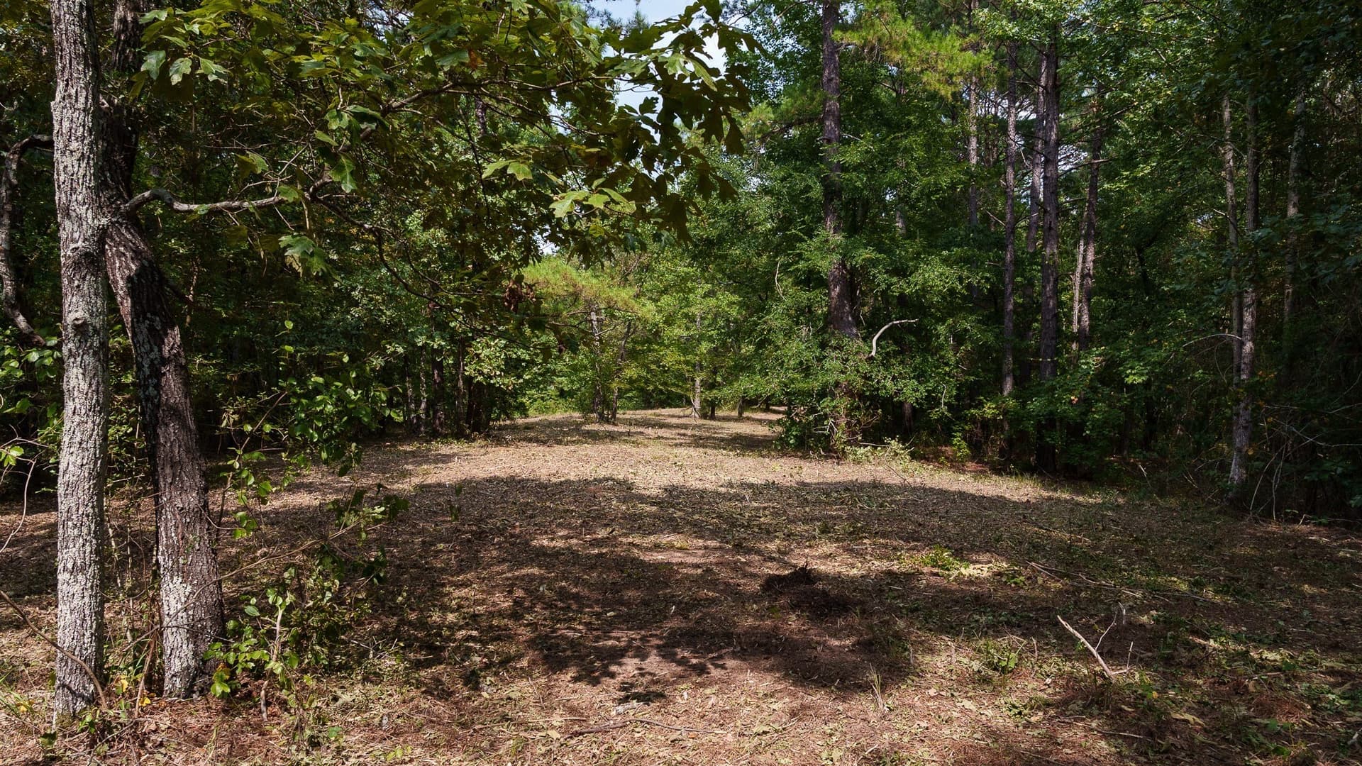 119 acres in Smith County - photo 11
