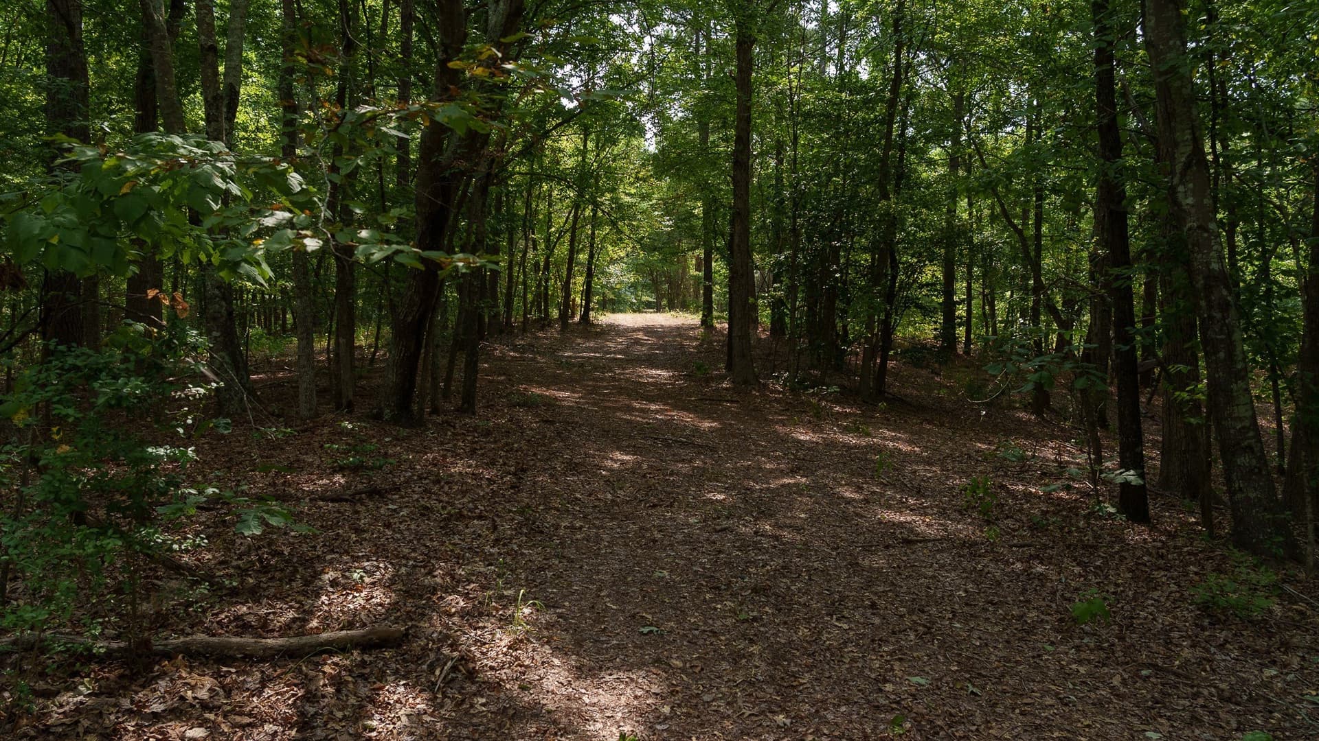 119 acres in Smith County - photo 13