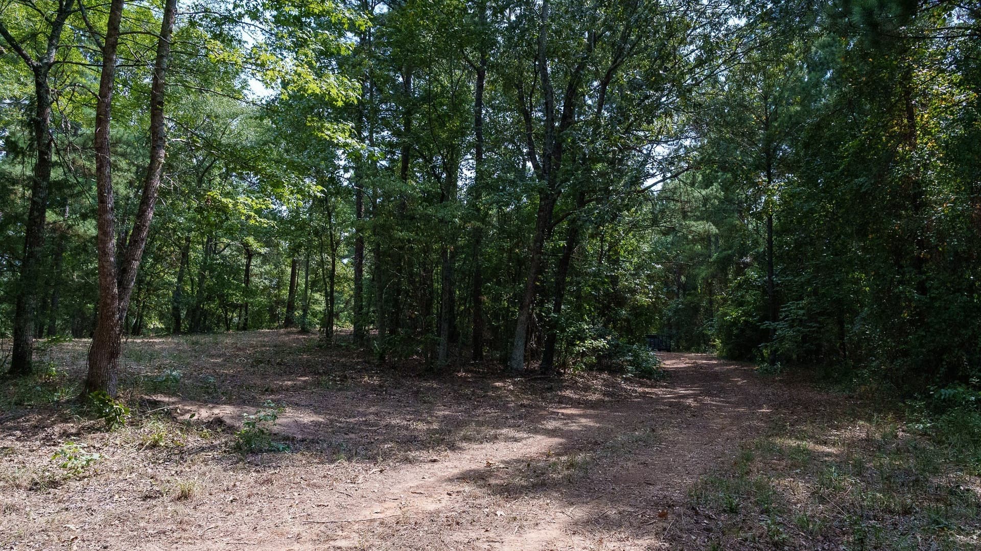 119 acres in Smith County - photo 10