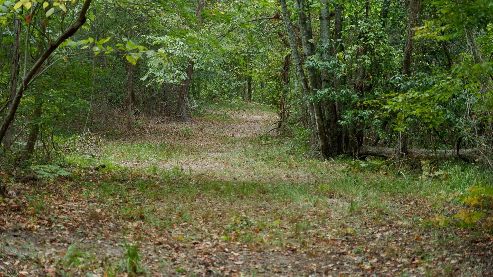 119 acres in Smith County - photo 15