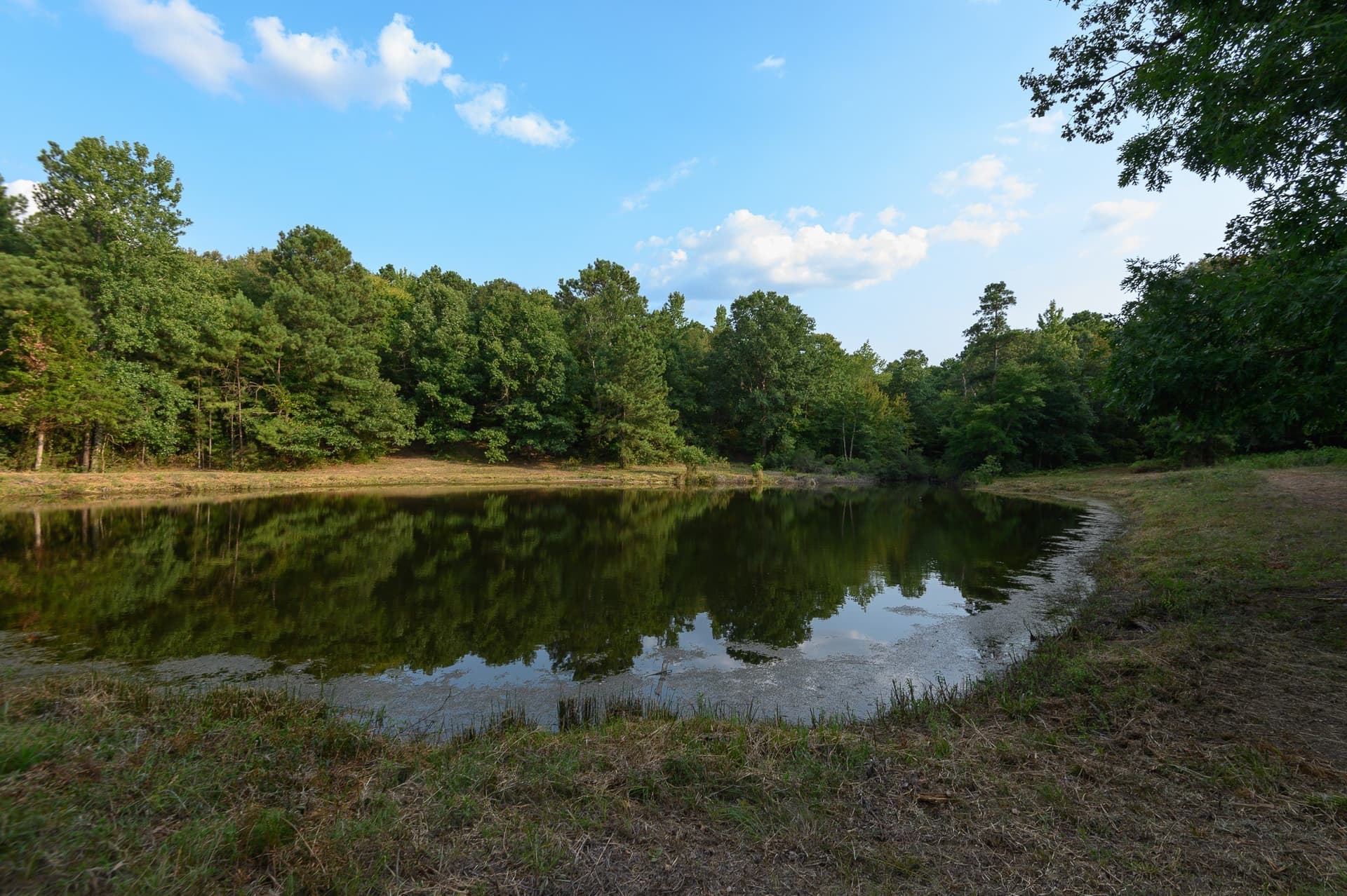119 acres in Smith County - photo 23