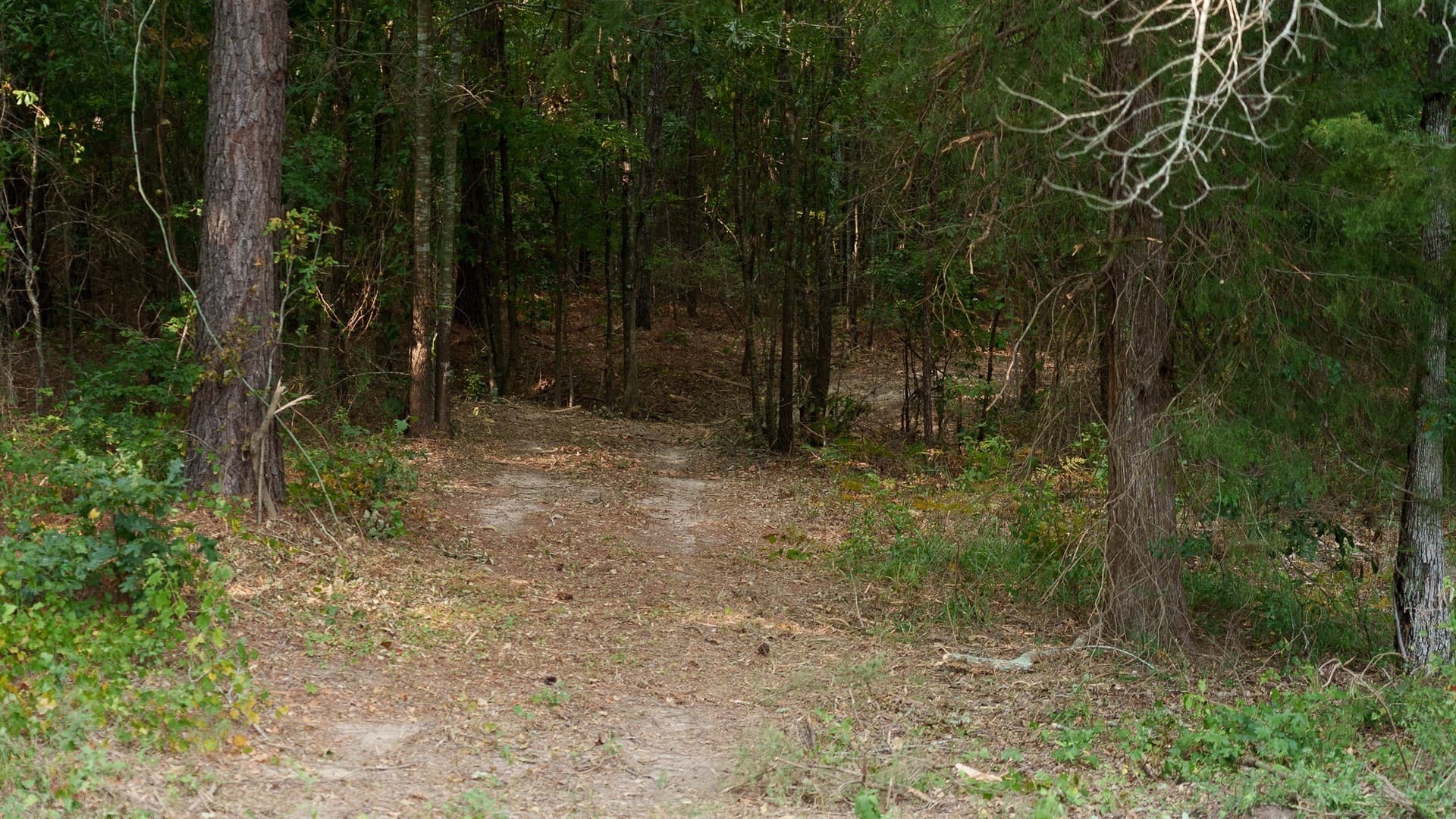 119 acres in Smith County - photo 29