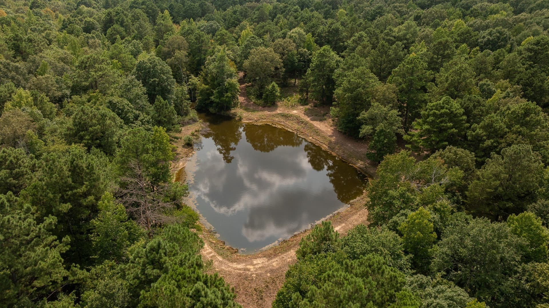 119 acres in Smith County - photo 6