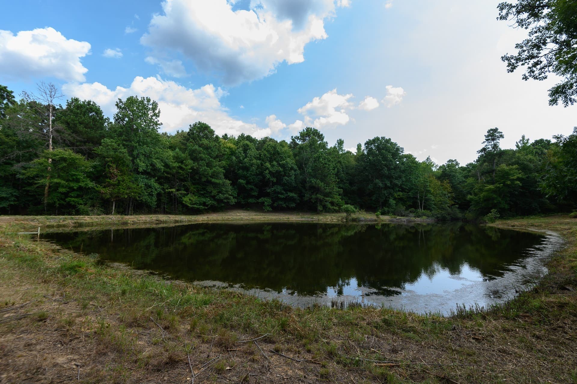 119 acres in Smith County - photo 20